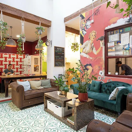 Home Youth Hostel By Feetup Hostels-2